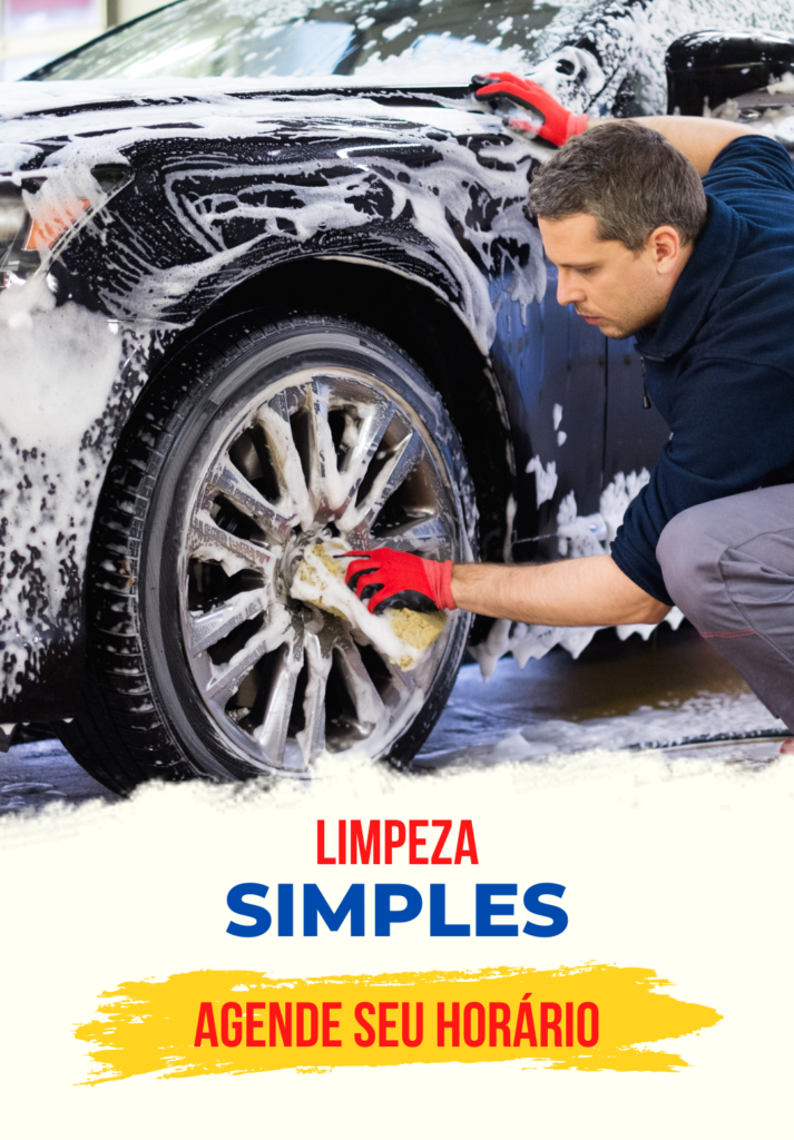 limpeza simples lava jato